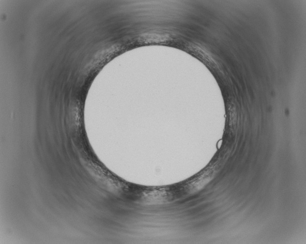 X0000066960362200604211847