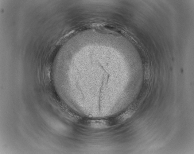 X0000066960363200604211847