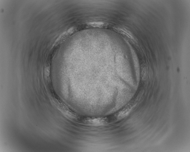 X0000066960365200604211847