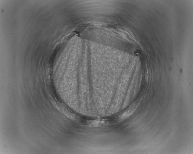 X0000066960366200604211847