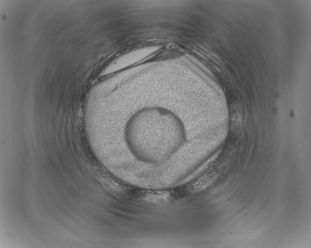 X0000066960369200604211847