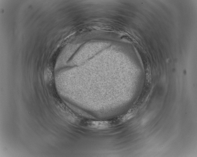 X0000066960371200604211847