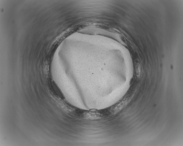 X0000066960372200604211847