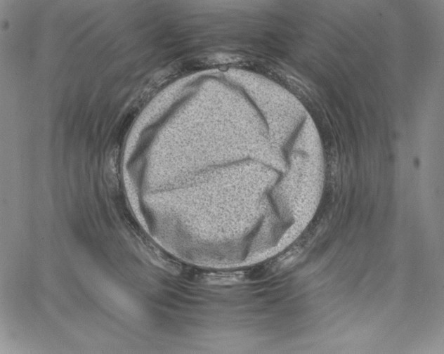 X0000066960373200604211847