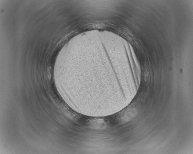 X0000066960374200604211847