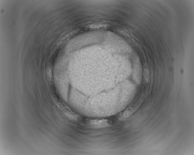 X0000066960375200604211847