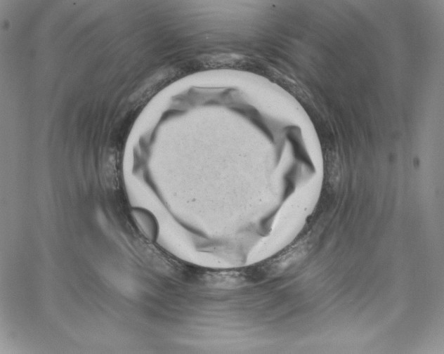 X0000066960378200604211847