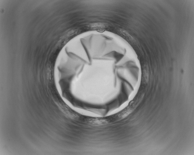 X0000066960379200604211847