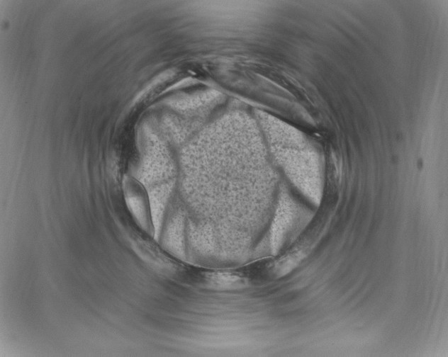 X0000066960380200604211847