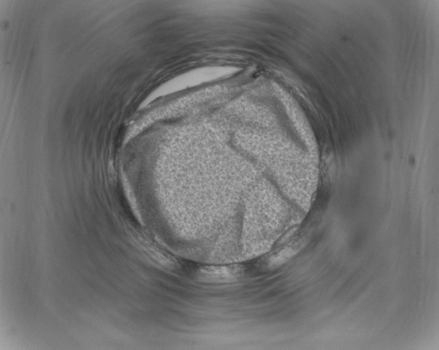 X0000066960381200604211847