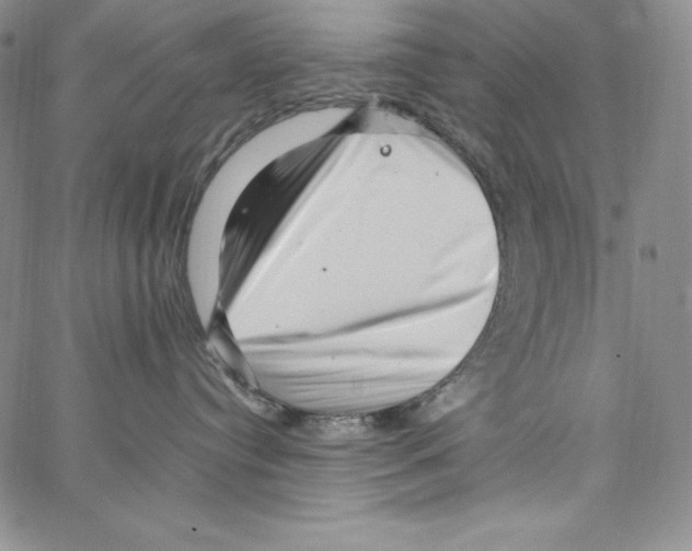 X0000066960384200604211847