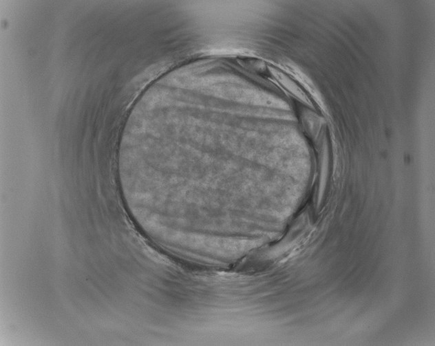 X0000066960385200604211847