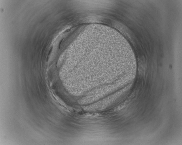 X0000066960386200604211847