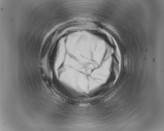 X0000066960388200604211847