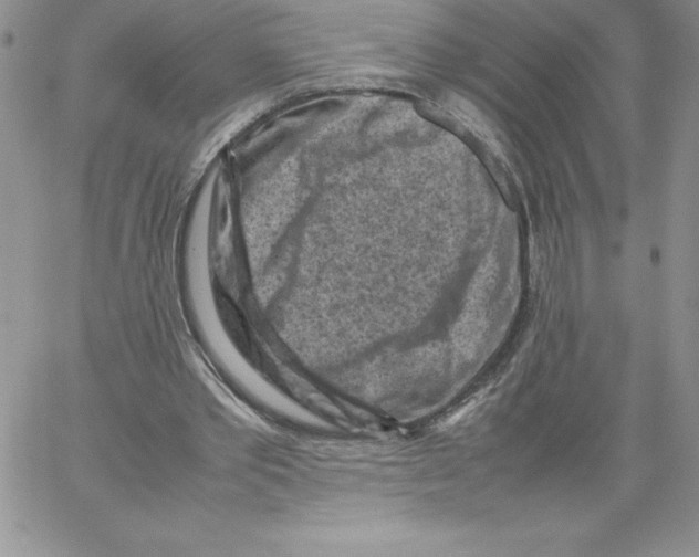 X0000066960389200604211847