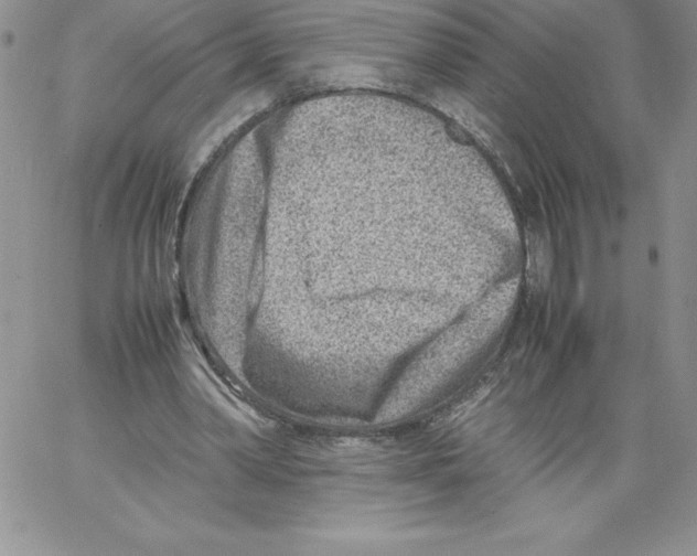 X0000066960390200604211847