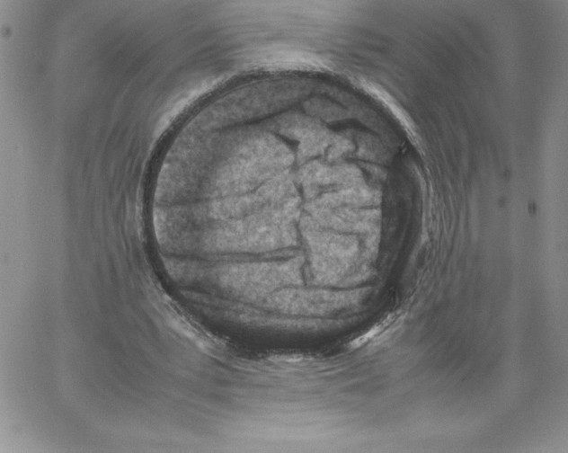 X0000066960391200604211847