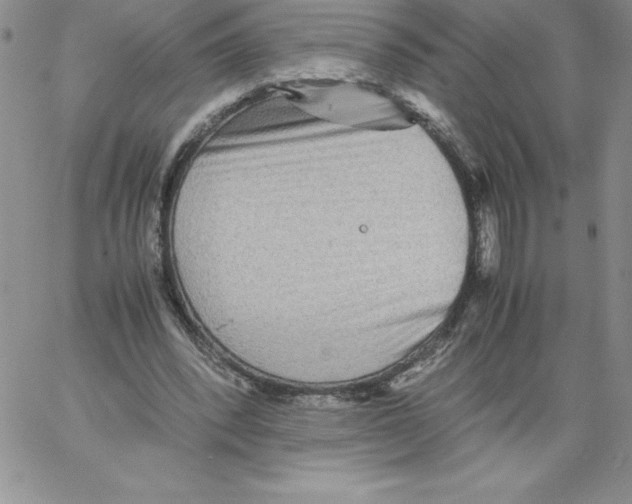 X0000066960392200604211846