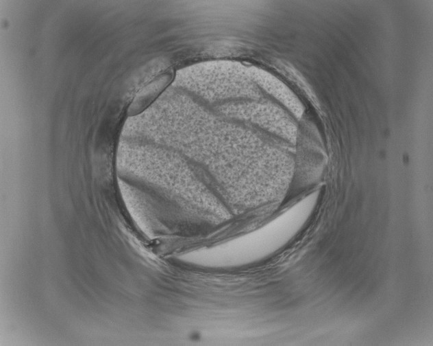 X0000066960393200604211846