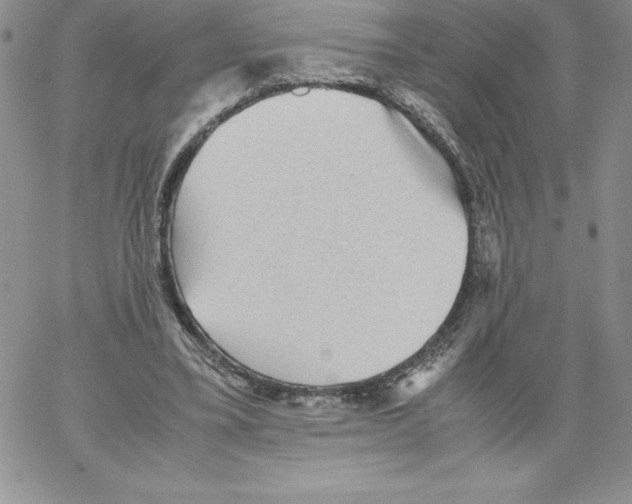 X0000066960395200604211846