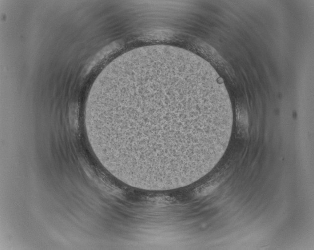 X0000066960396200604211846