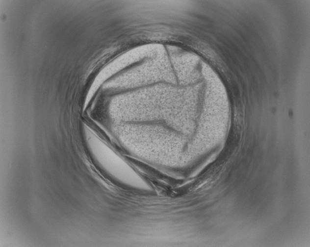 X0000066960397200604211846