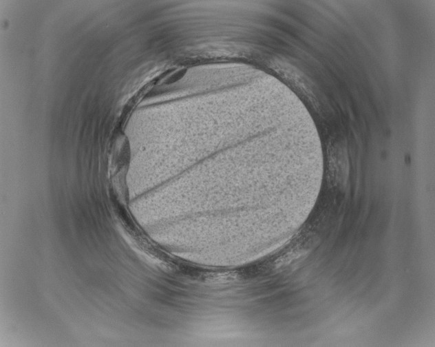 X0000066960398200604211846