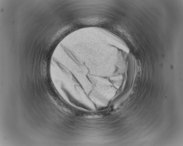 X0000066960400200604211846