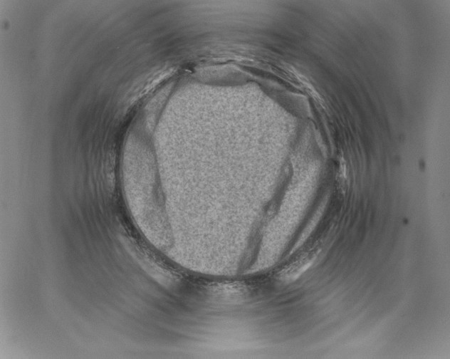 X0000066960402200604211846