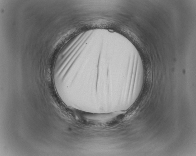 X0000066960403200604211846