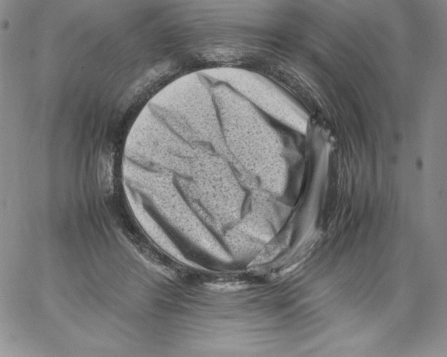 X0000066960404200604211846