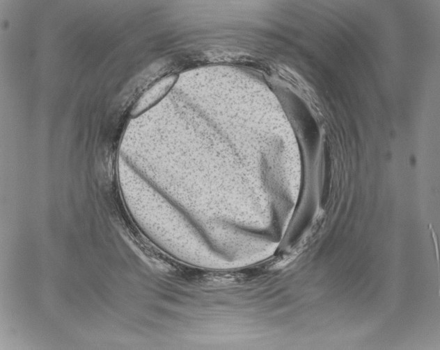 X0000066960405200604211846