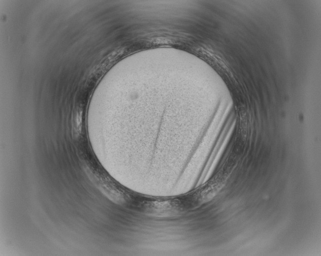 X0000066960406200604211846