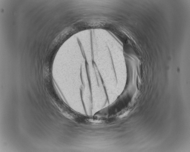 X0000066960407200604211846