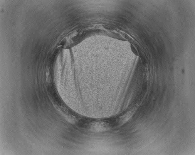 X0000066960408200604211846