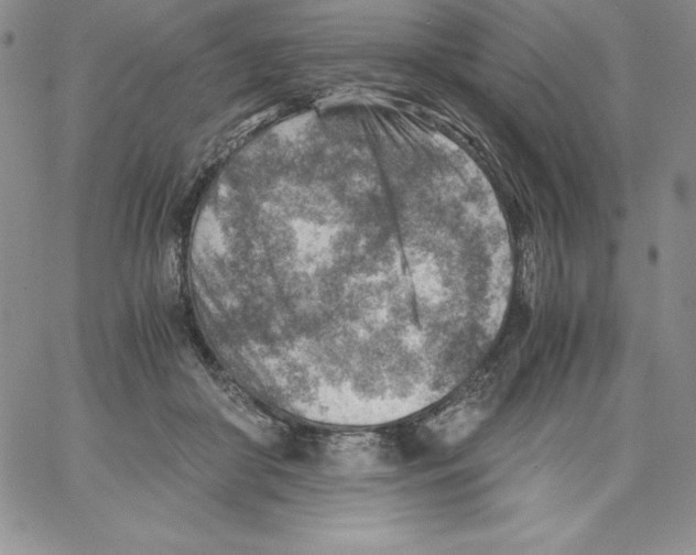 X0000066960410200604211846