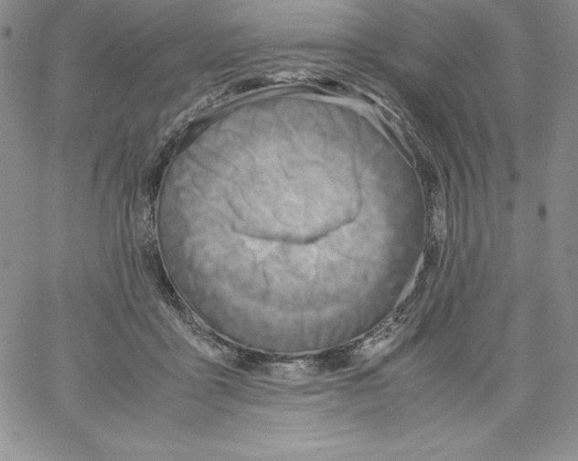 X0000066960411200604211846