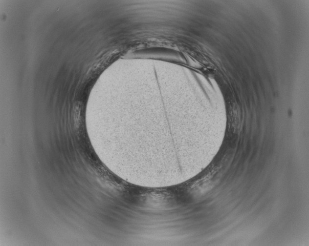 X0000066960412200604211846