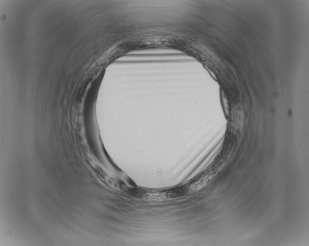 X0000066960413200604211846