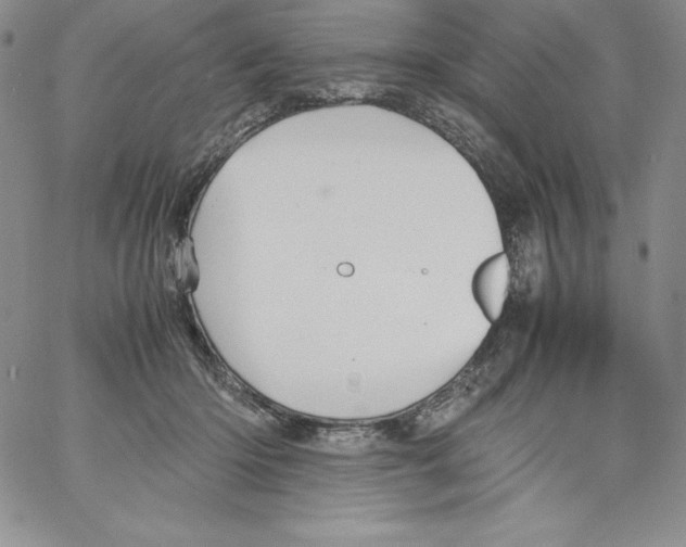 X0000066960414200604211846