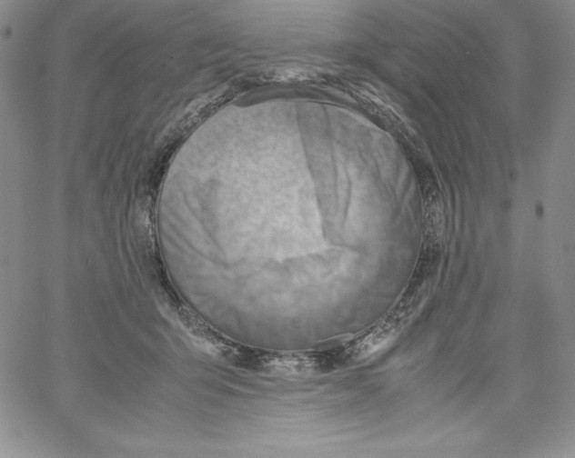 X0000066960415200604211846