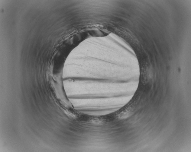 X0000066960416200604211846