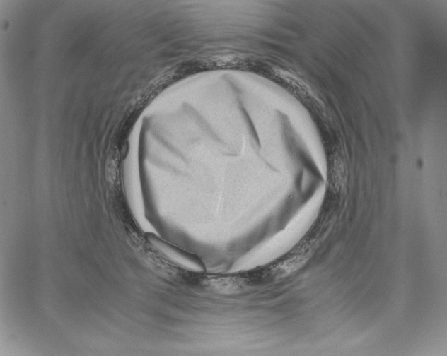 X0000066960417200604211846