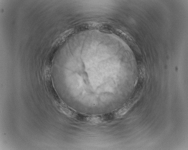 X0000066960419200604211846