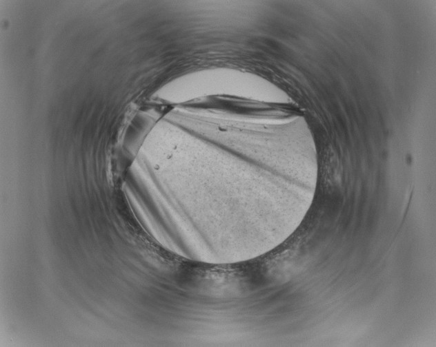 X0000066960420200604211846