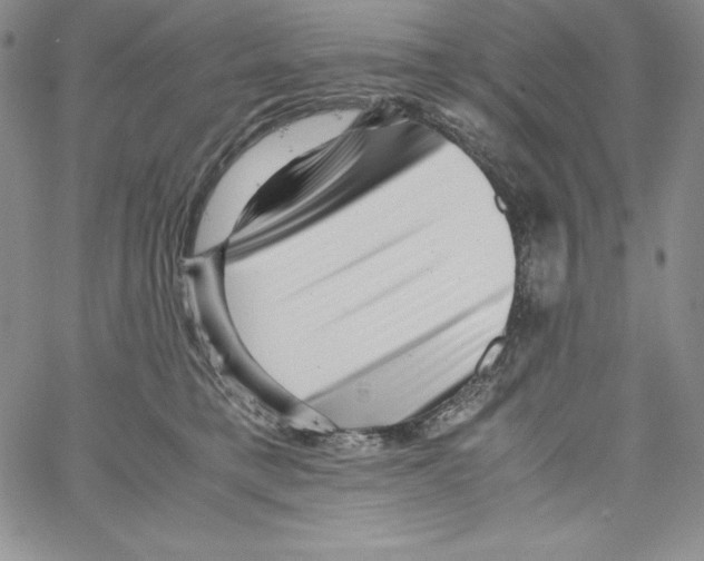 X0000066960421200604211846