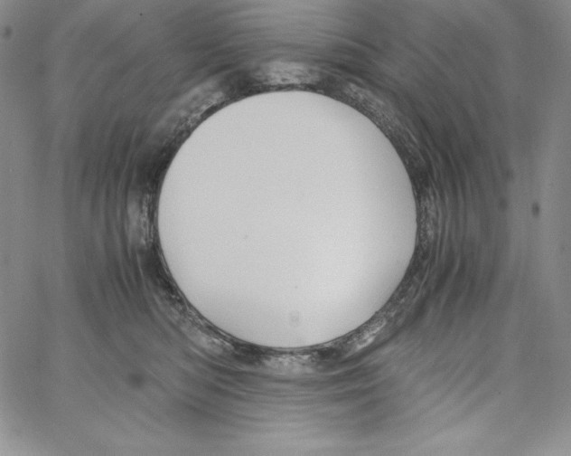 X0000066960422200604211846