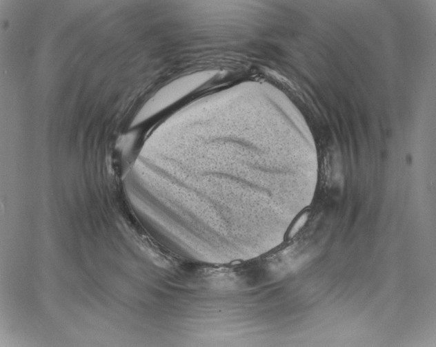 X0000066960424200604211846