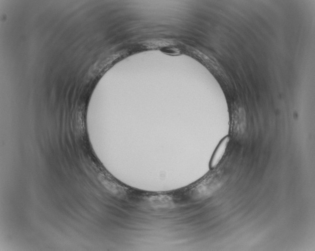 X0000066960426200604211846