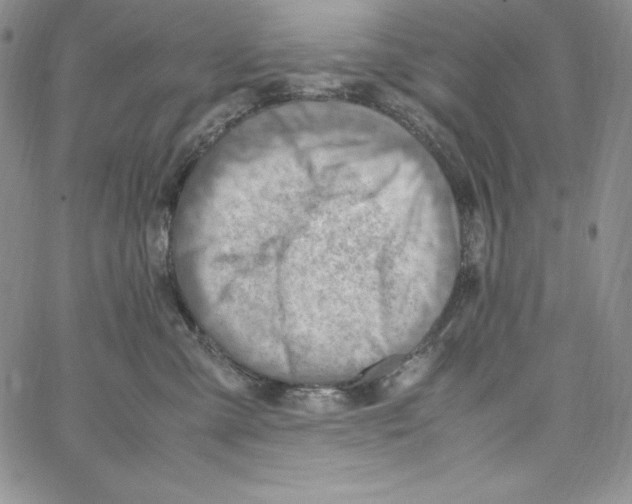 X0000066960427200604211846